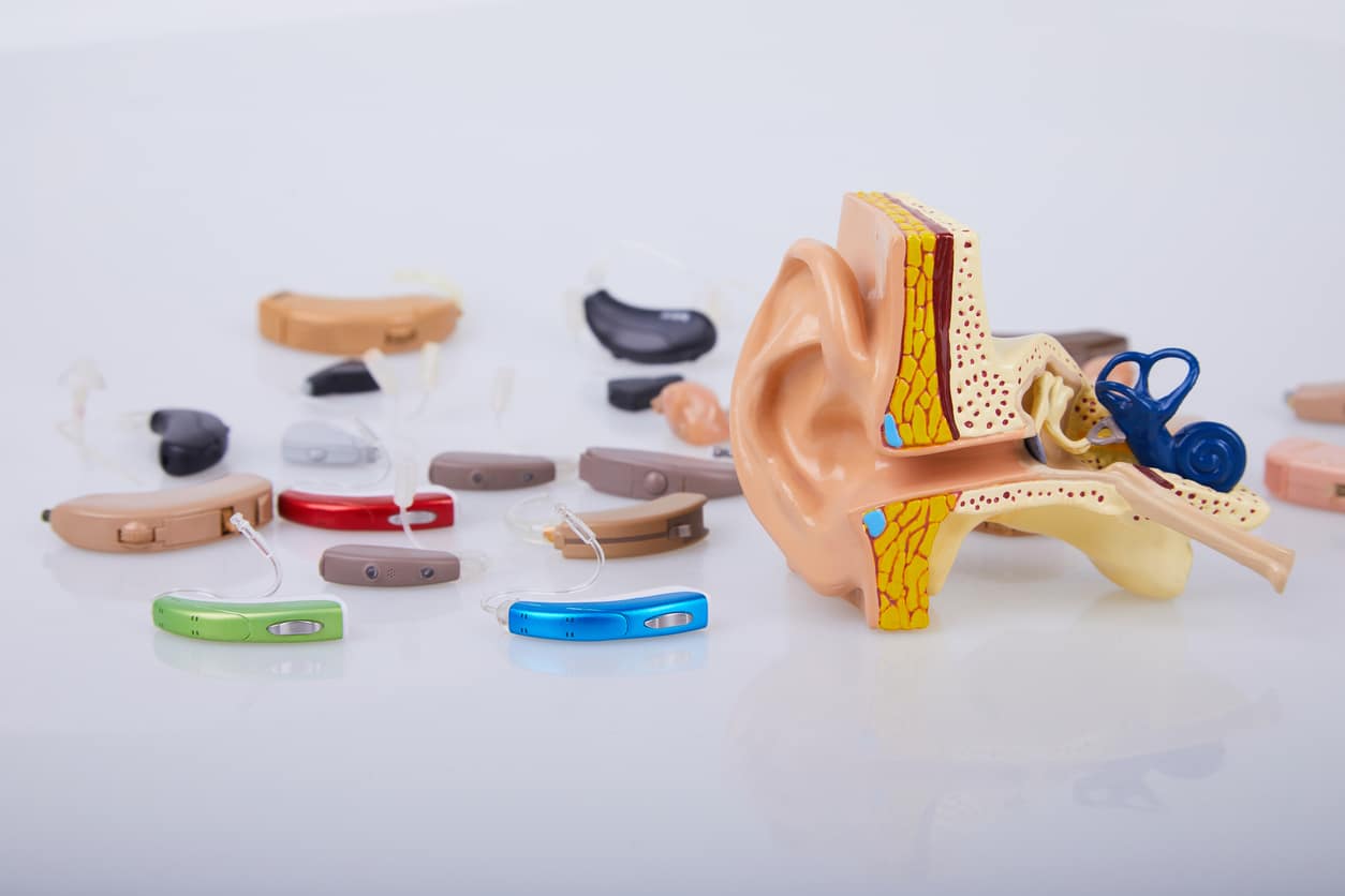 Model of an ear and an array of hearing aids